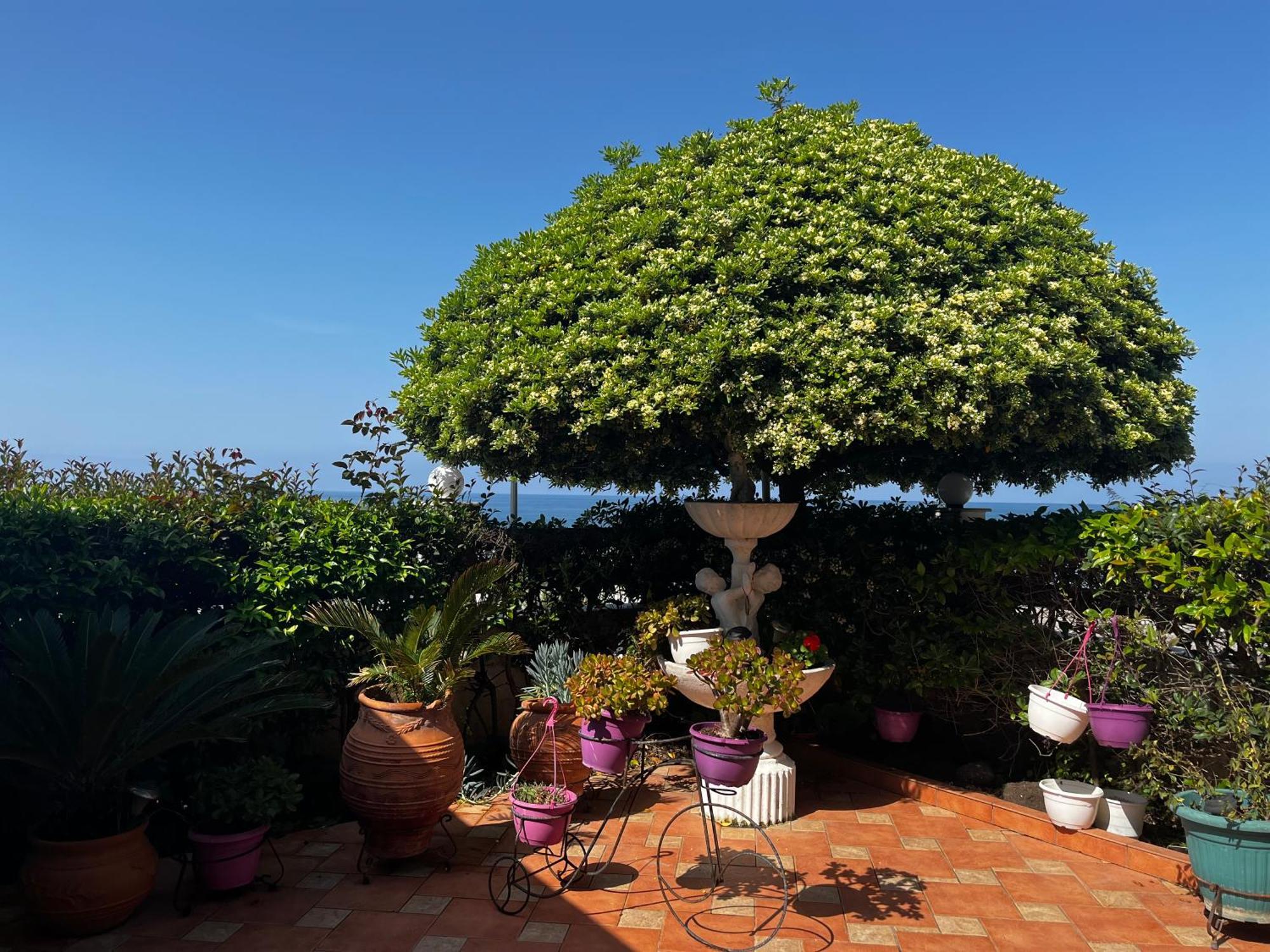 Family Sea & Garden View Apartment Превеза Екстер'єр фото